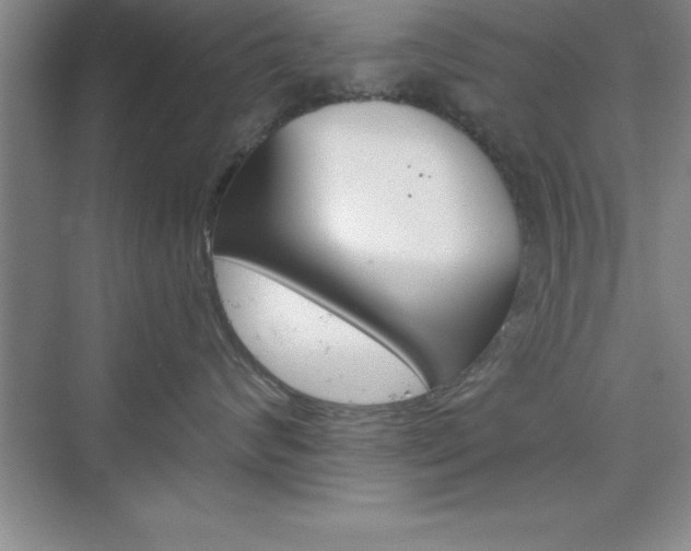 X0000076330624200609290854