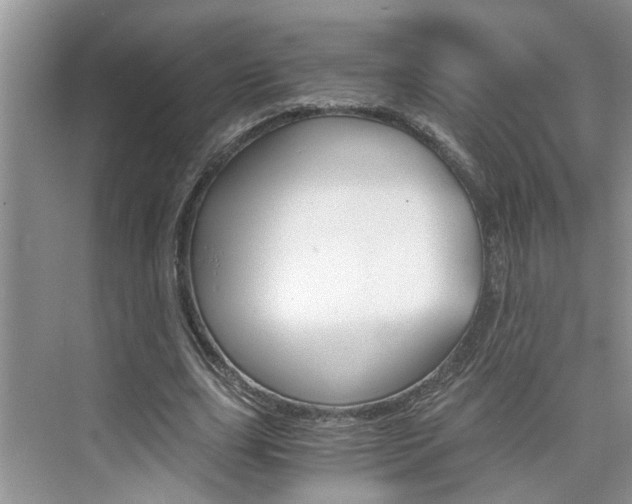 X0000076330631200609290854