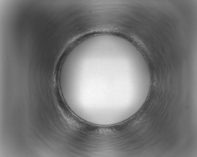 X0000076330636200609290854
