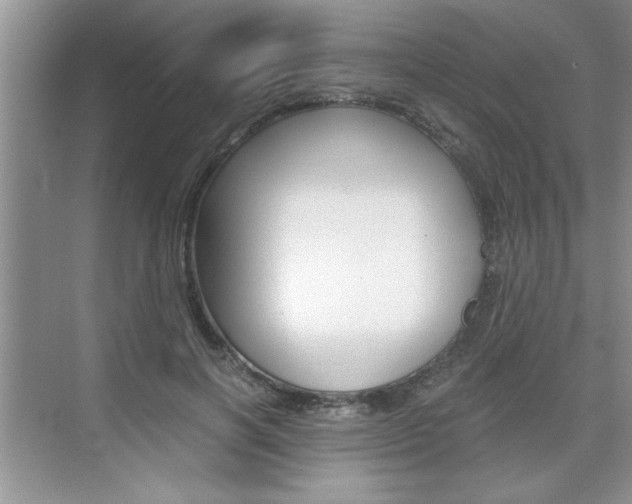X0000076330646200609290854