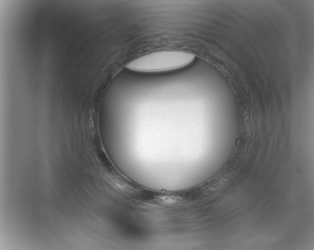X0000076330654200609290854