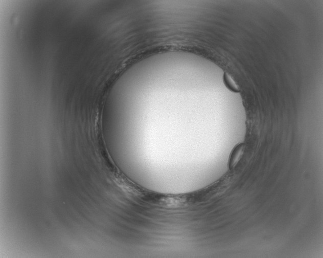 X0000076330660200609290854