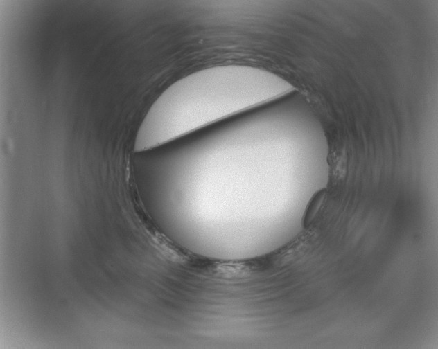 X0000076330666200609290854