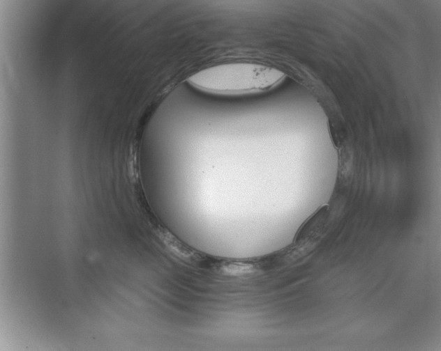 X0000076330669200609290854