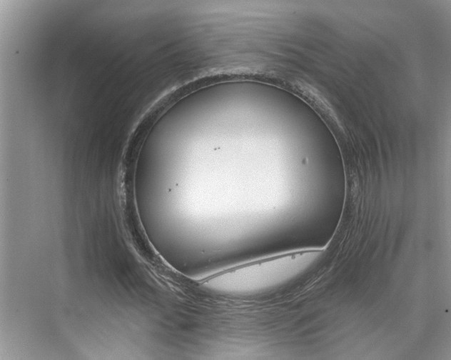 X0000076330676200609290853