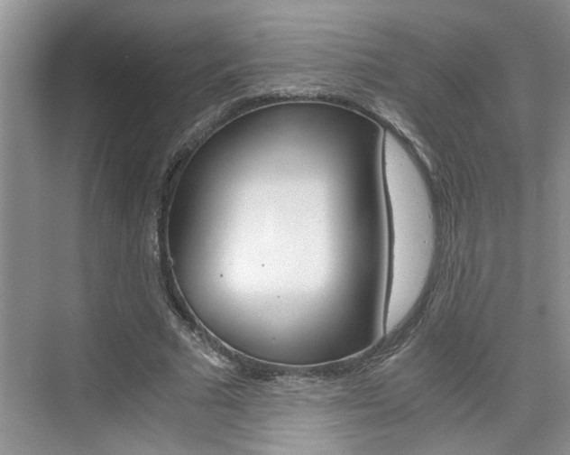 X0000076330681200609290853