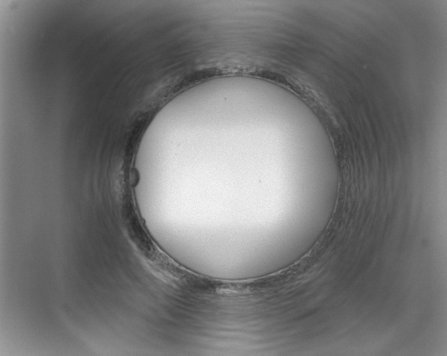 X0000076330690200609290853