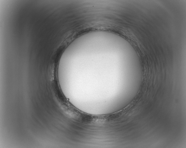 X0000076330694200609290853