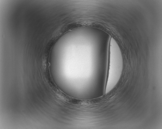 X0000076330697200609290853