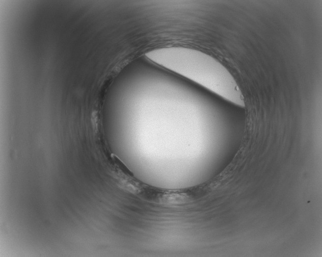 X0000076330716200609290853