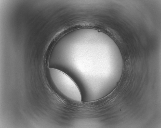 X0000076330727200609290852
