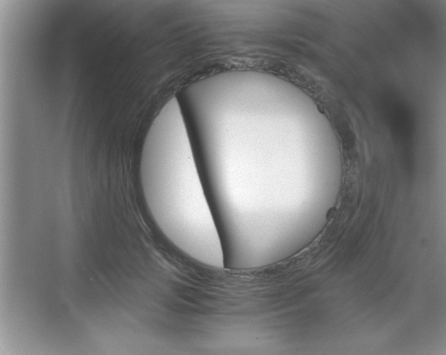 X0000076330749200609290852