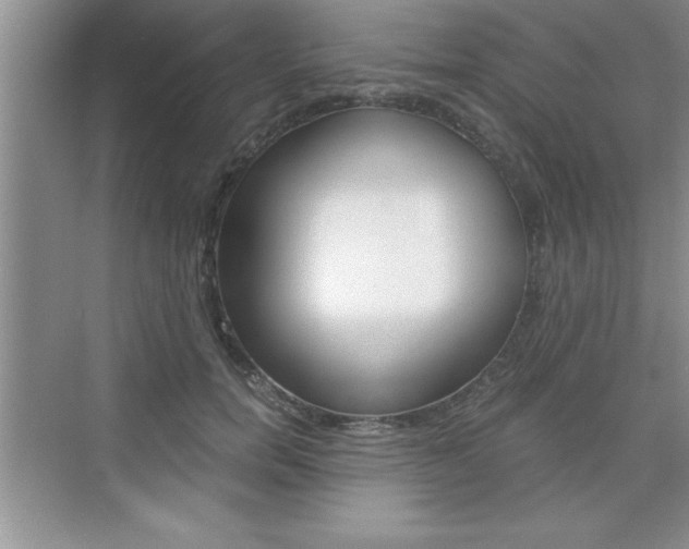 X0000076330750200609290852