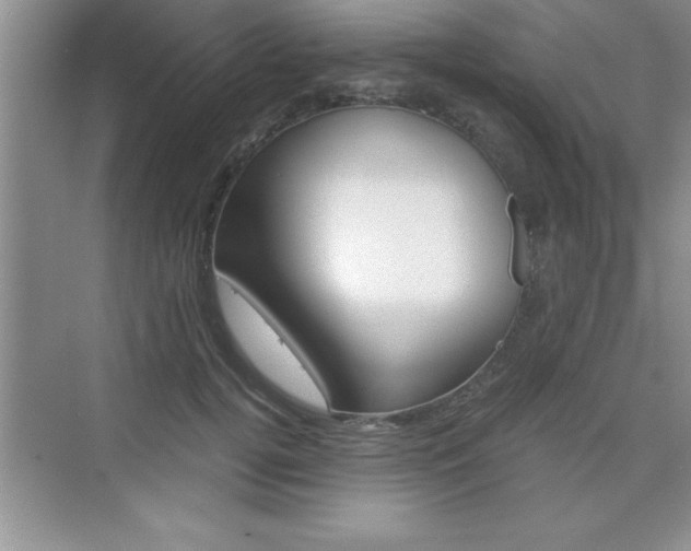 X0000076330752200609290852