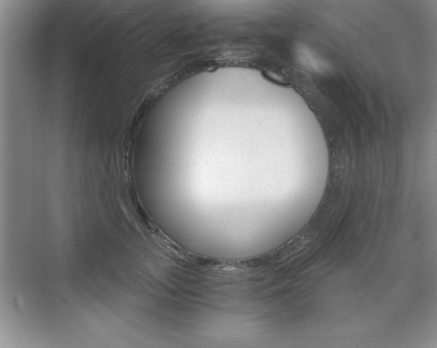 X0000076330755200609290852