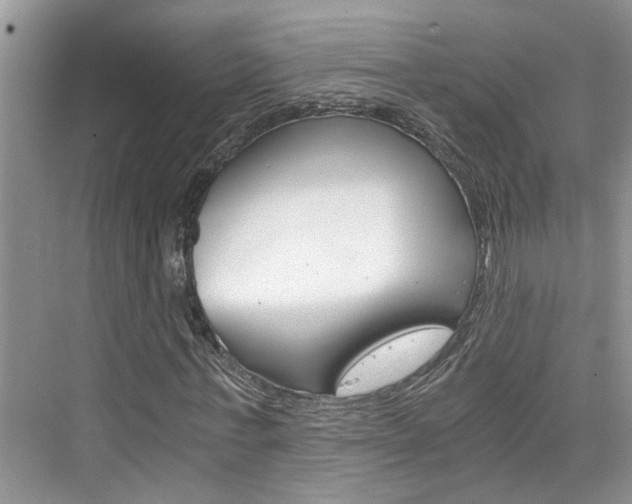X0000076330771200609290852
