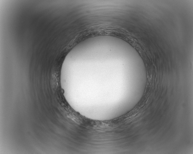 X0000076330772200609290852