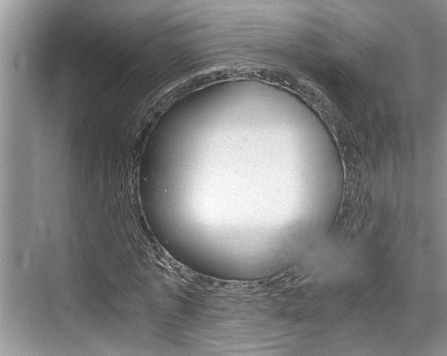 X0000076330773200609290852
