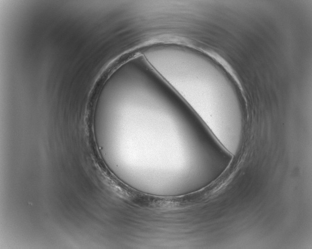 X0000076330783200609290852