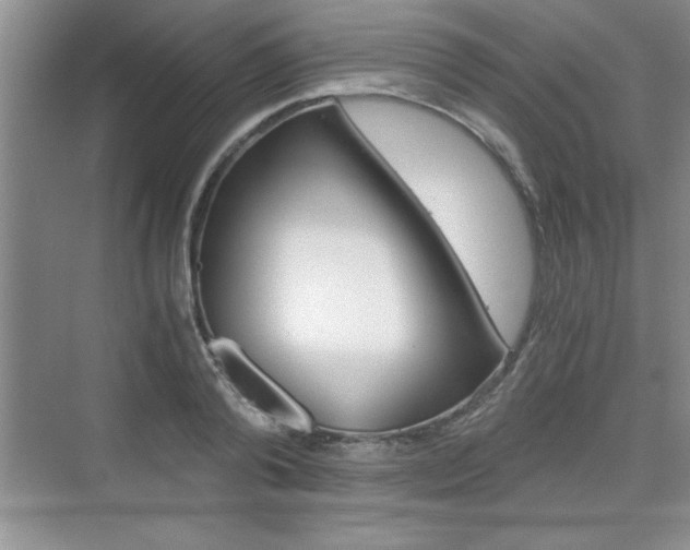 X0000076330792200609290851