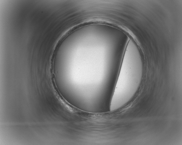 X0000076330799200609290851