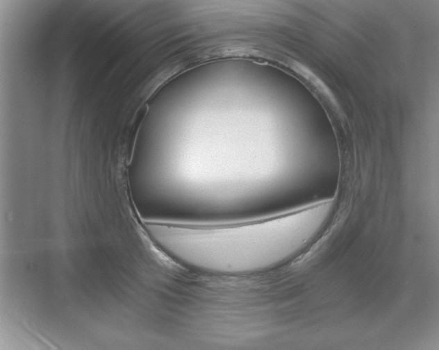 X0000076330801200609290851