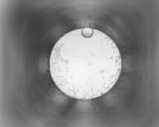 X0000076330820200609290850