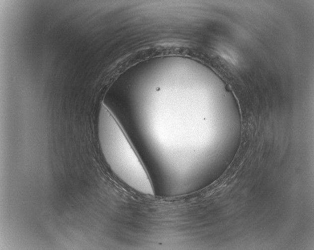 X0000076330821200609290850