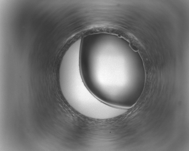 X0000076330822200609290850