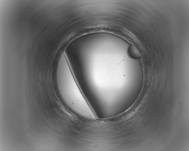 X0000076330826200609290850