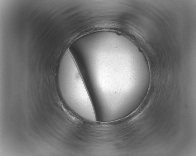 X0000076330833200609290851