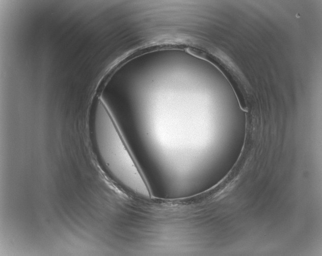 X0000076330834200609290851
