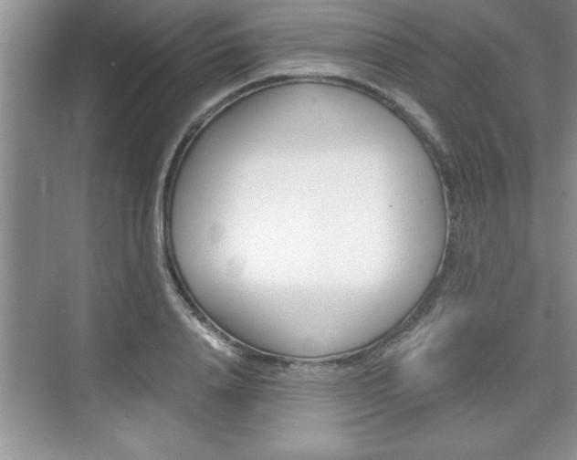 X0000076330840200609290851
