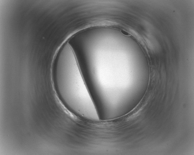 X0000076330843200609290851