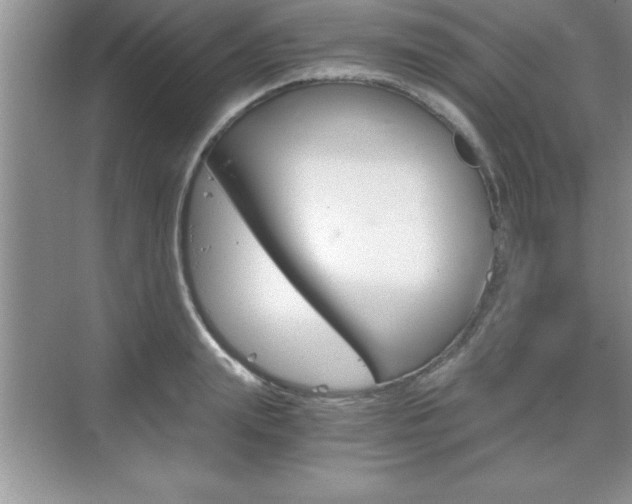 X0000076330847200609290851