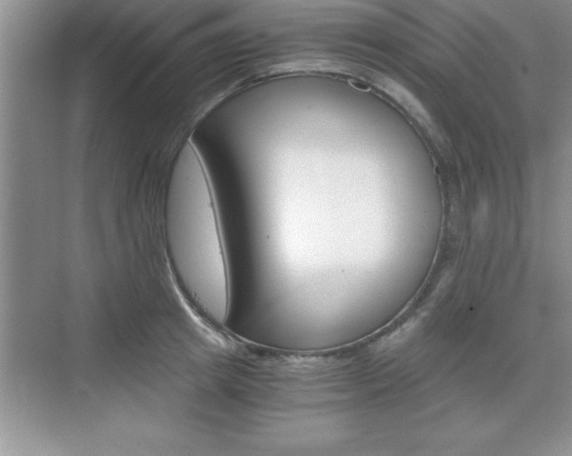 X0000076330849200609290851