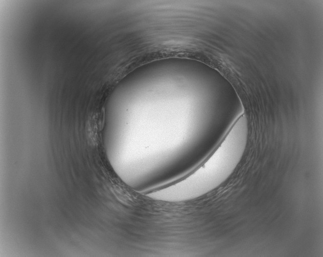 X0000076330868200609290850