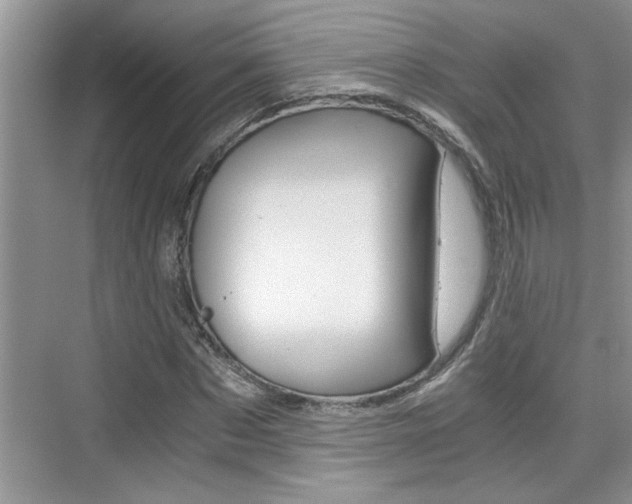 X0000076330873200609290850