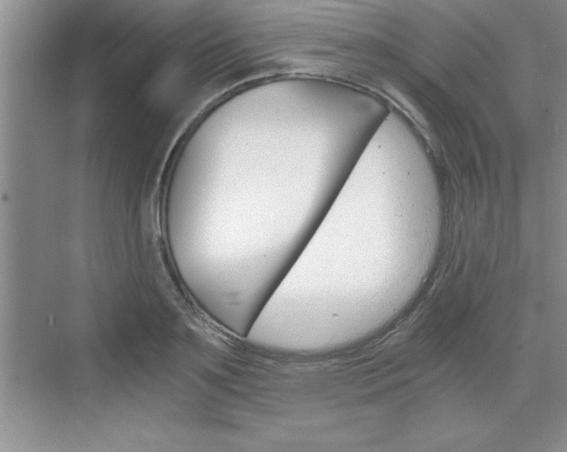 X0000076330891200609290850