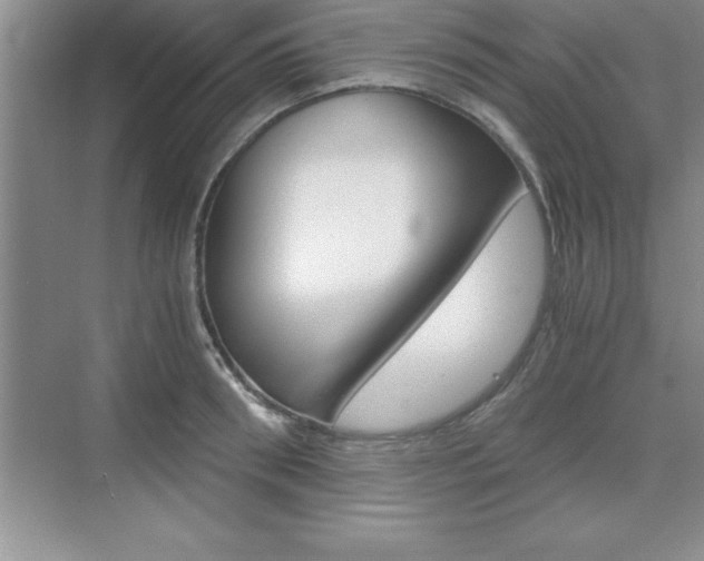 X0000076330898200609290850