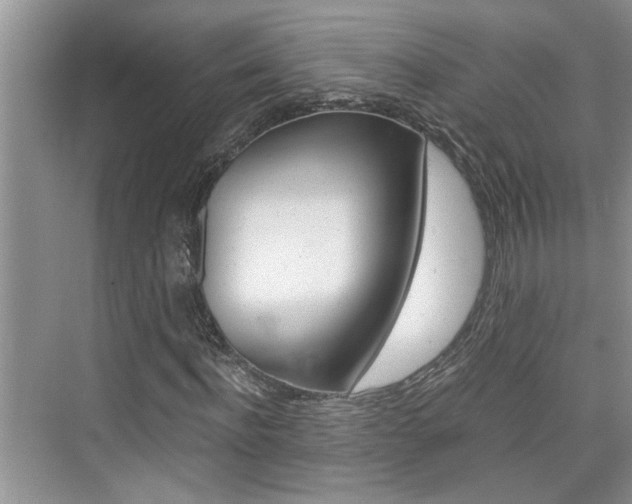 X0000076330916200609290849
