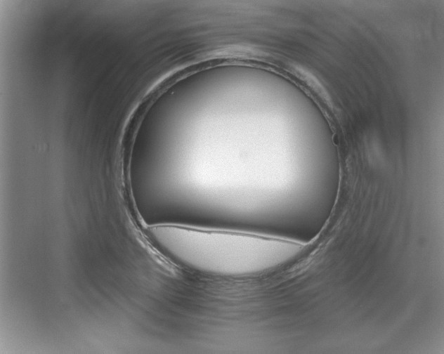 X0000076330931200609290849
