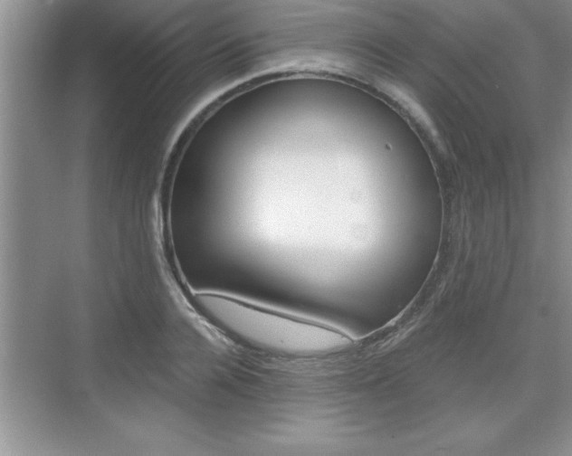 X0000076330936200609290849