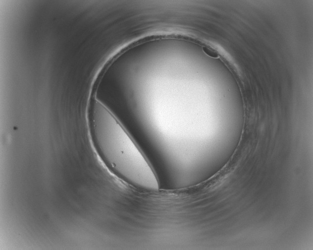X0000076330943200609290849