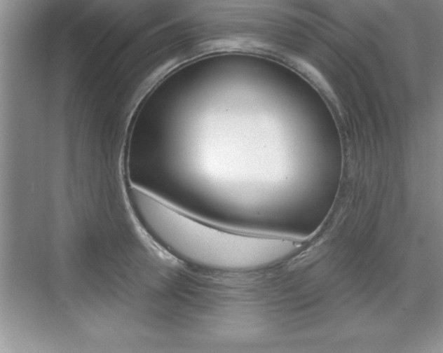 X0000076330946200609290849