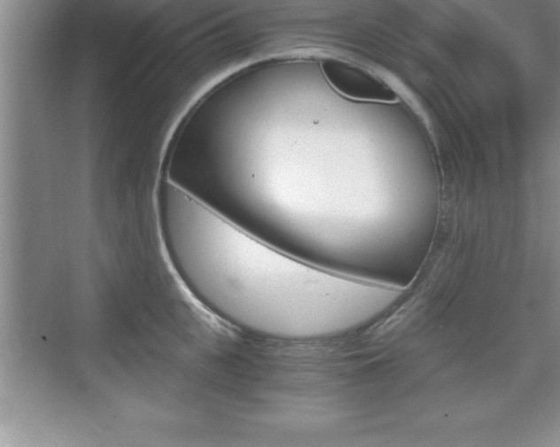 X0000076330951200609290849