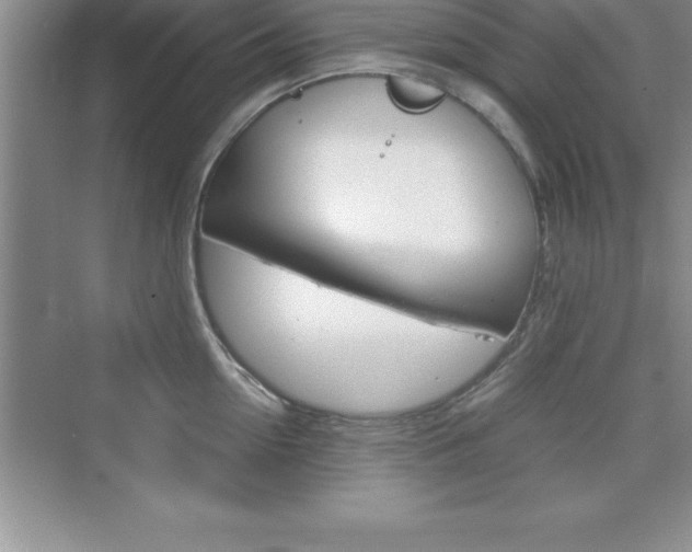 X0000076330954200609290849