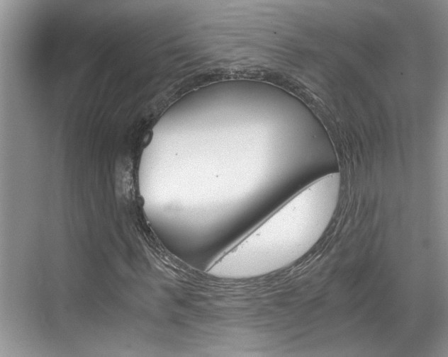 X0000076330963200609290849