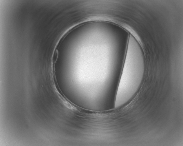 X0000076330996200609290848