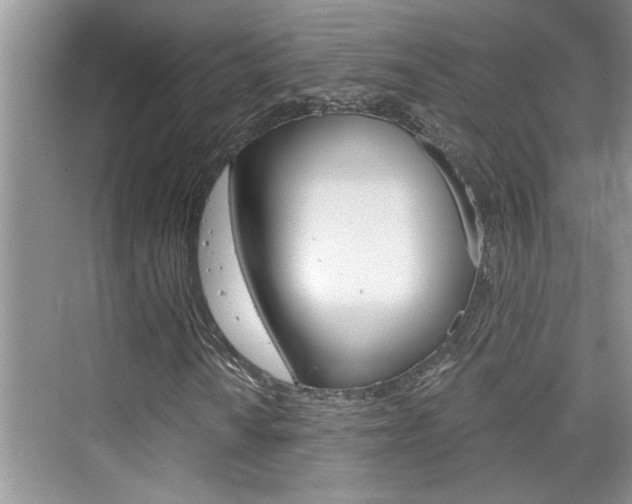 X0000076331010200609290847